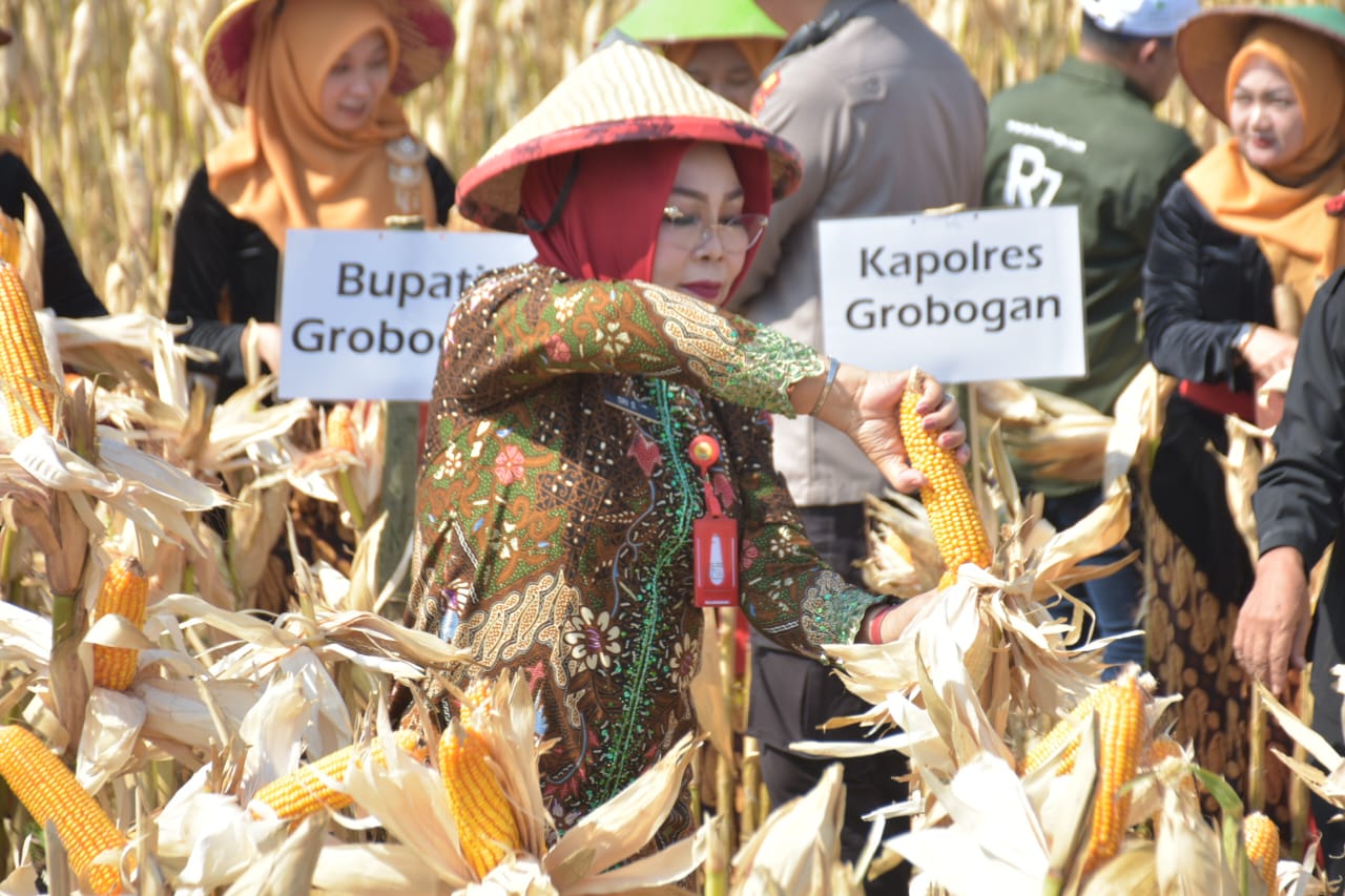 WhatsApp Image 2023 10 05 at 12.30.36