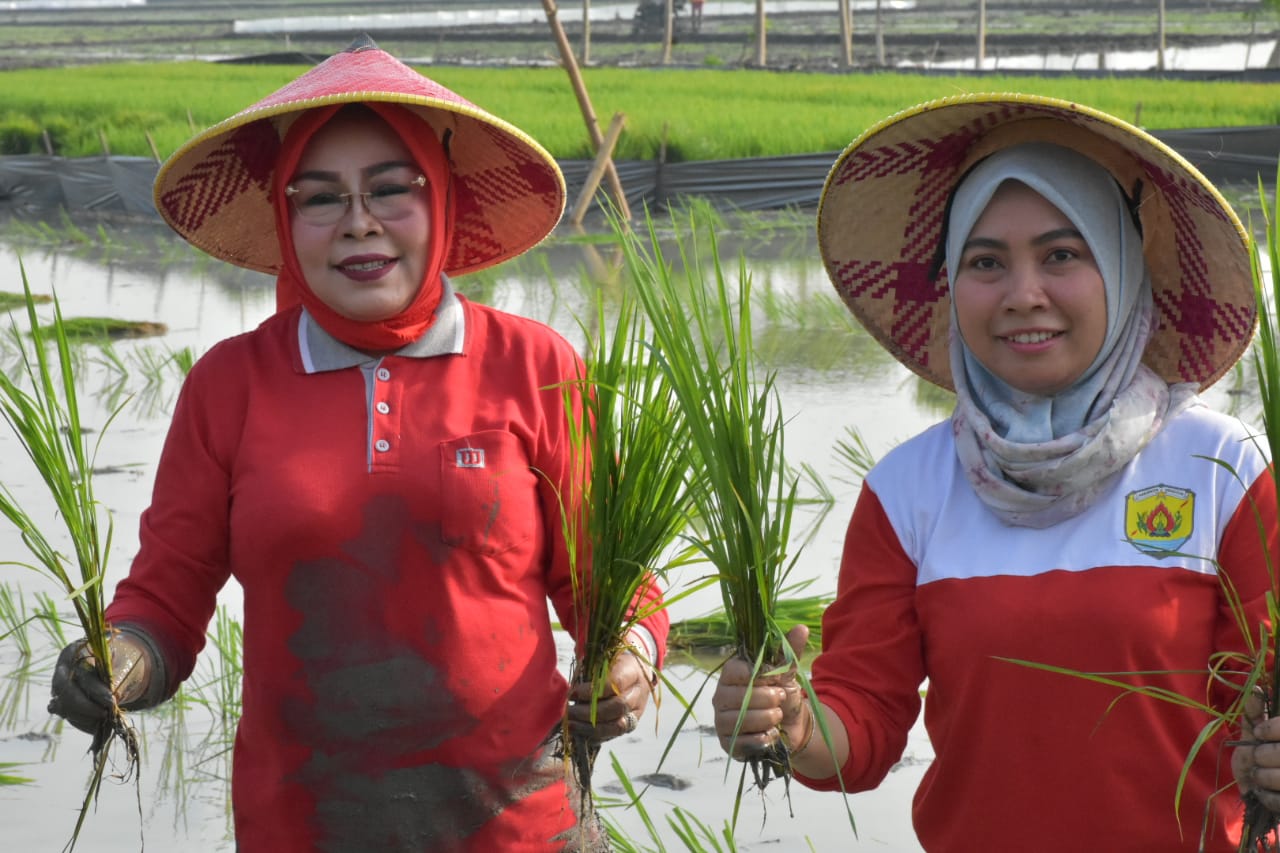 WhatsApp Image 2023 10 20 at 09.35.05