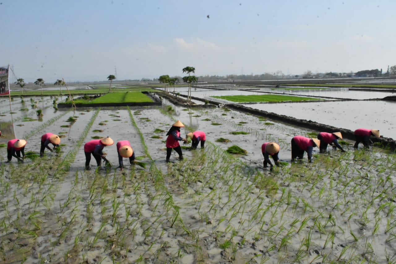 WhatsApp Image 2023 10 20 at 09.37.27